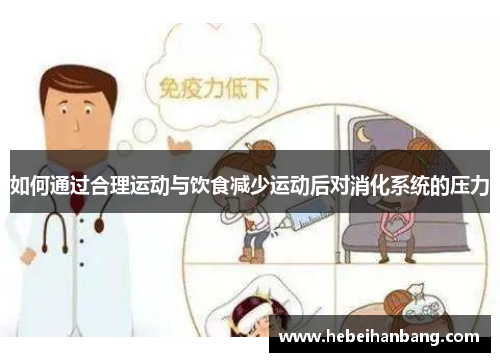 如何通过合理运动与饮食减少运动后对消化系统的压力