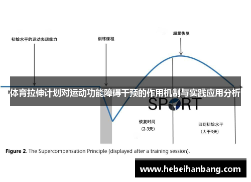 体育拉伸计划对运动功能障碍干预的作用机制与实践应用分析