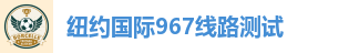 纽约国际967线路测试